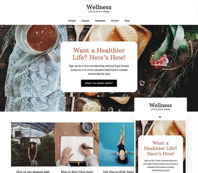 Best WordPress Themes for Professional and Personal Websites